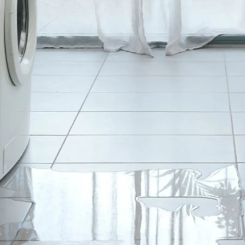 Appliance Leak Cleanup in Jackson, CA